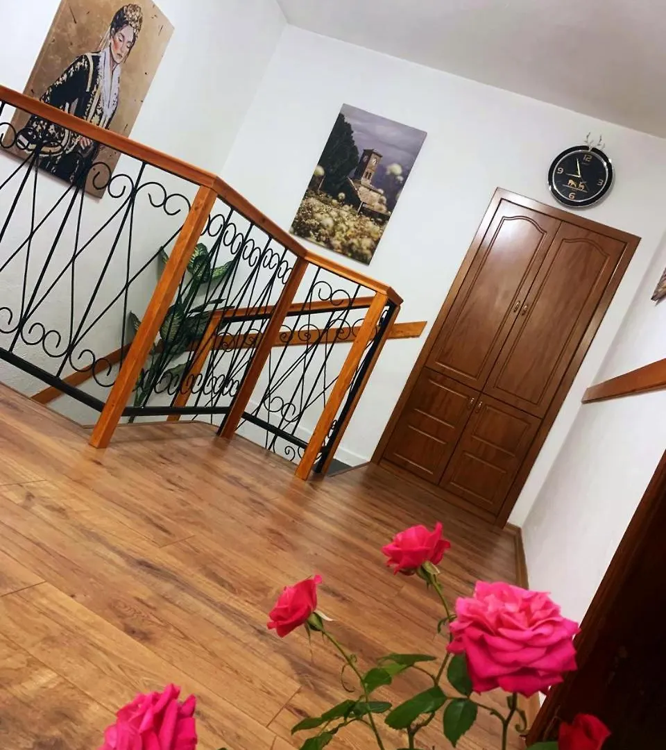Aaron'S Guest House Gjirokaster 0*,